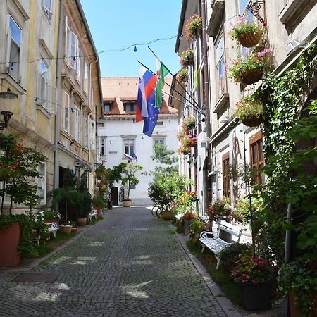 Codelli Deluxe City Centre Apartments Lubiana Esterno foto